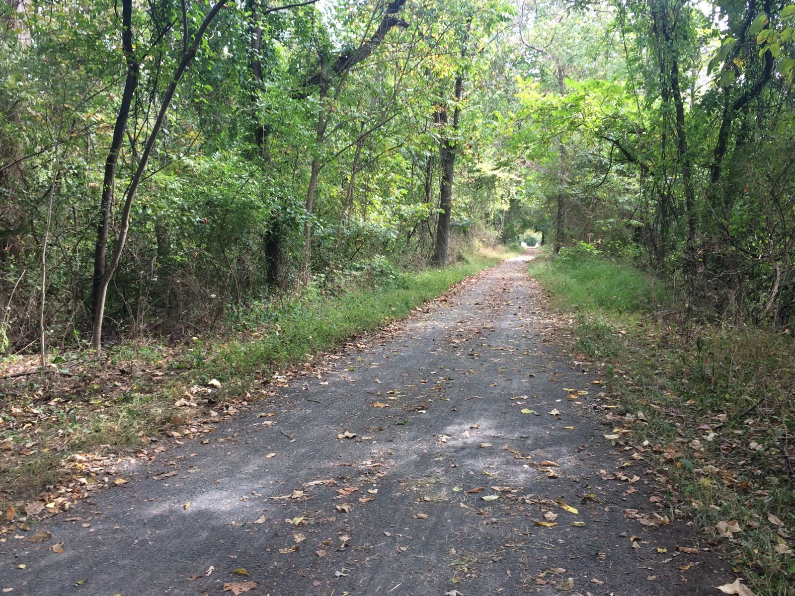 Walking trail in Pottstown area park