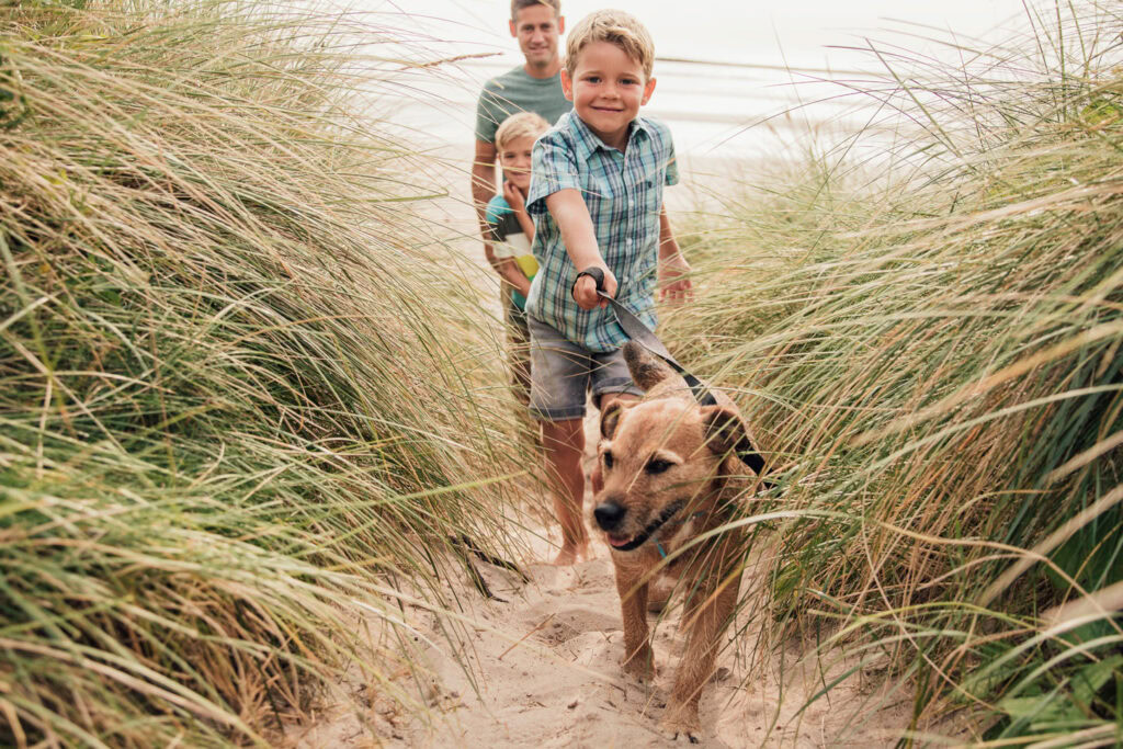 Family walking their dog