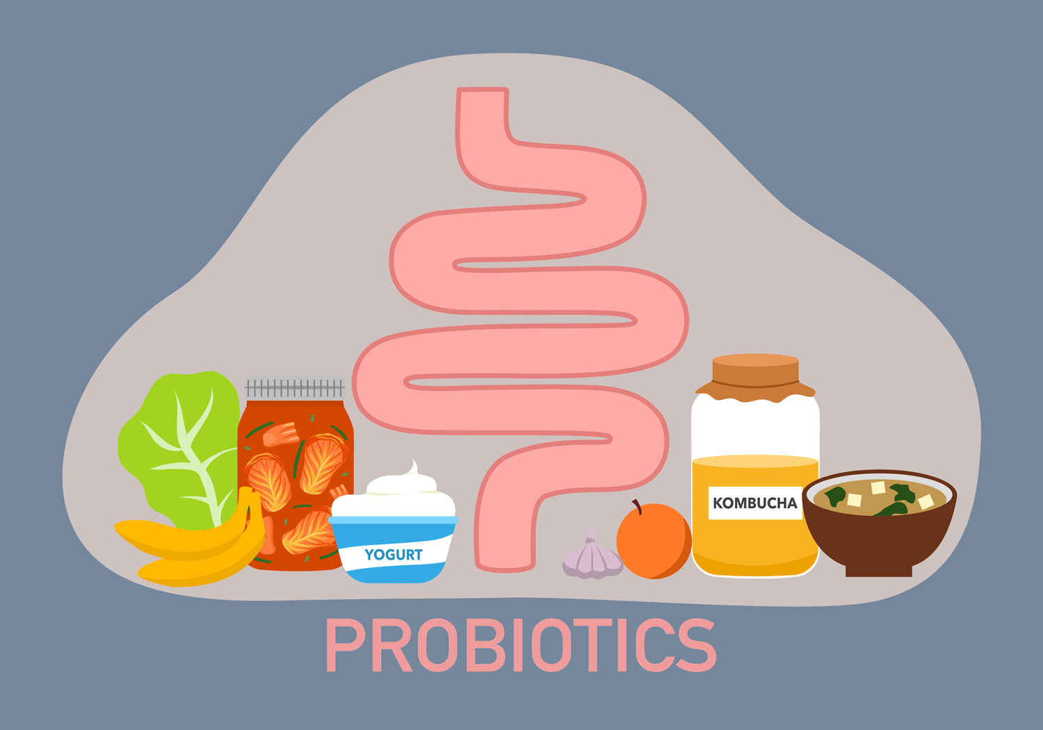 illustration of probiotic foods