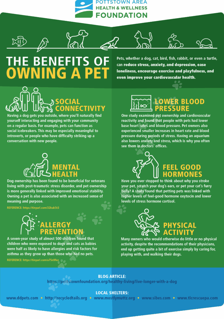 Infographic on the benefits of owning a pet